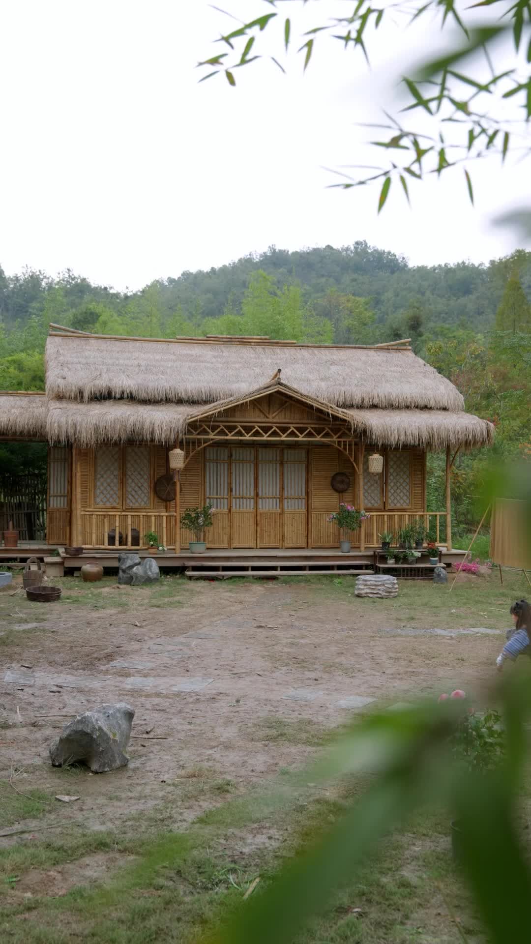 Episode 17 - Strays No More